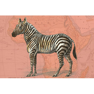 HASHTAG HOME African Animals On Coral IV by Studio W - Wrapped Canvas Painting