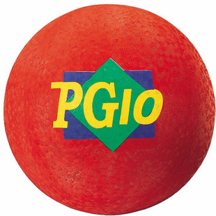 DICK MARTIN SPORTS Playground Ball 2 Ply