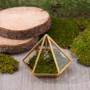 LE PRISE™ Ring Holder +