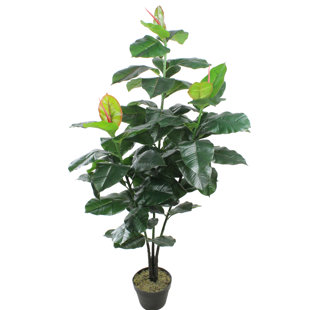 NORTHLIGHT SEASONAL 51" Artificial Green and Brown Potted Rubber Plant