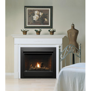 KINGSMAN FIREPLACES Direct Vent Natural Gas/Propane Fireplace Insert