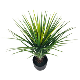 GEKO PRODUCTS 68cm Pineapple Tree in Pot