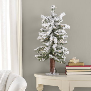 GREYLEIGH™ 2' Lighted Pine Christmas Tree