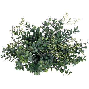 FREEPORT PARK® Kanode 6'' Faux Boxwood Plant