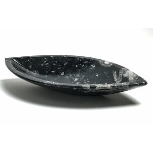 ASTRO GALLERY OF GEMS Orthoceras Fossil Decorative Bowl