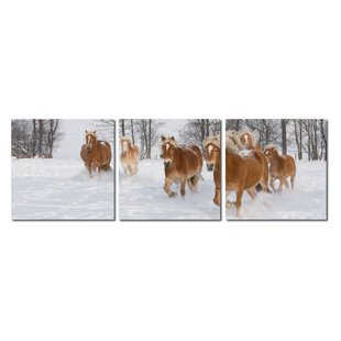 WHOLESALE INTERIORS 3 - Pieces