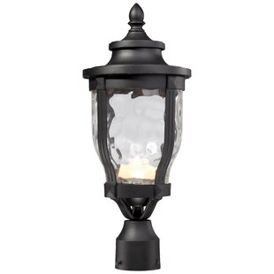 CHARLTON HOME® Urbanski Hammered Lantern Head