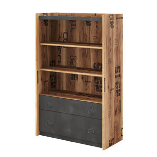 WILLISTON FORGE Dilan Bookcase