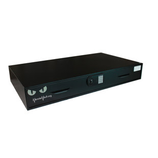 MONSTER VAULT Low Profile Underbed Security Safe