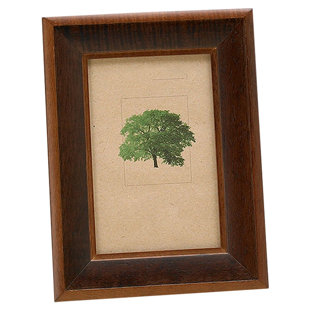 FETCO HOME DECOR Eco Woods Wood Picture Frame