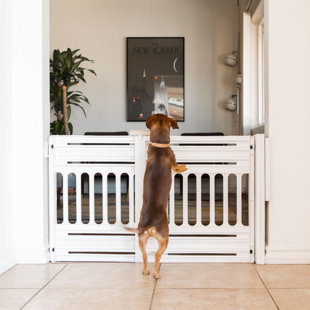 IRIS USA, INC. Plastic Free Standing Pet Gate