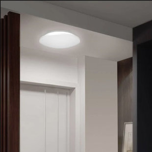 ILETT Acrylic LED Flush Mount