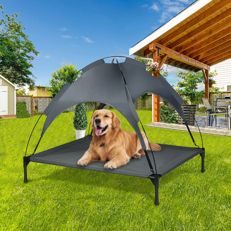 dog cot with canopy