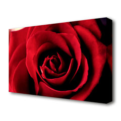 Roses Canvas Picture Pretty White Rose Panorama Picture Flowers Picture XXL Flower Teapot
