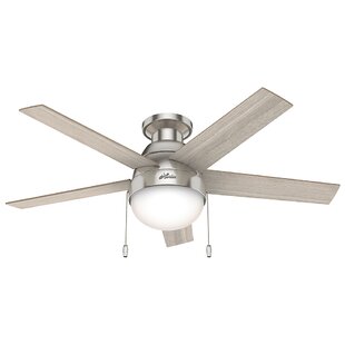 Hunter Douglas Ceiling Fans Wayfair