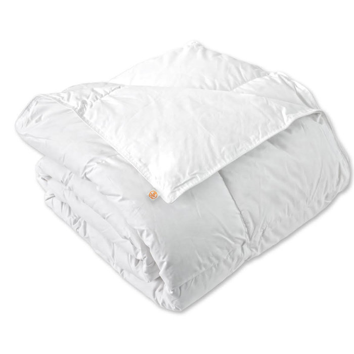 Kess InHouse BarmalisiRTB Eagle Dragon Featherweight Queen Duvet Cover 88 x 88,