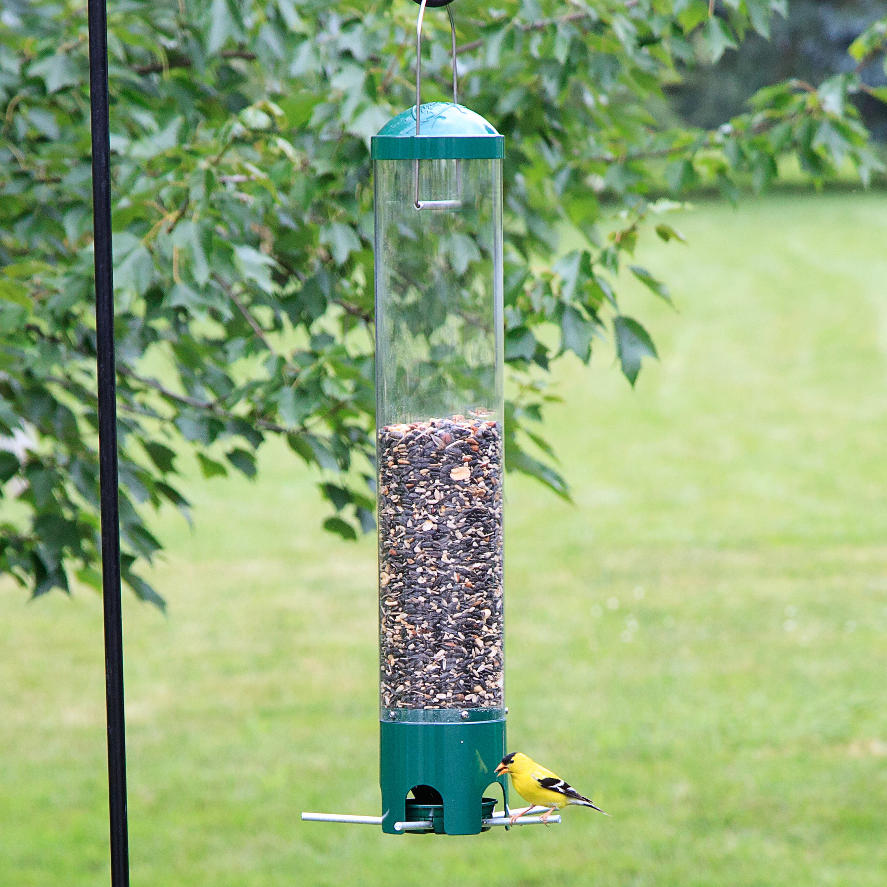 Perky Pet Premium Squirrel Be Gone Breakaway Wild Tube Bird Feeder