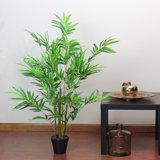 Decorative Bamboo Sticks Wayfair Ca