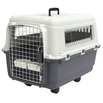 foldable plastic dog crate