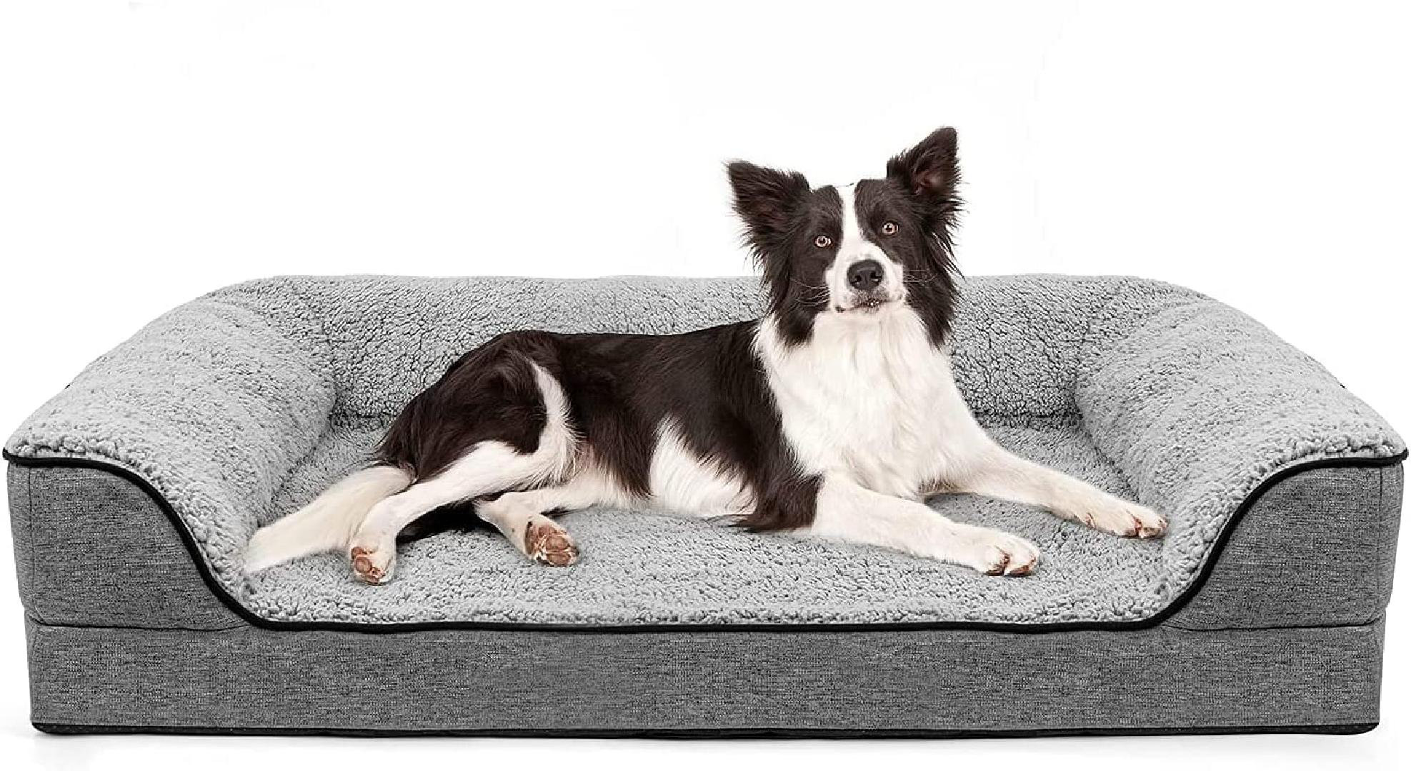 How Do You Clean Dog Vomit Off A Suede Couch