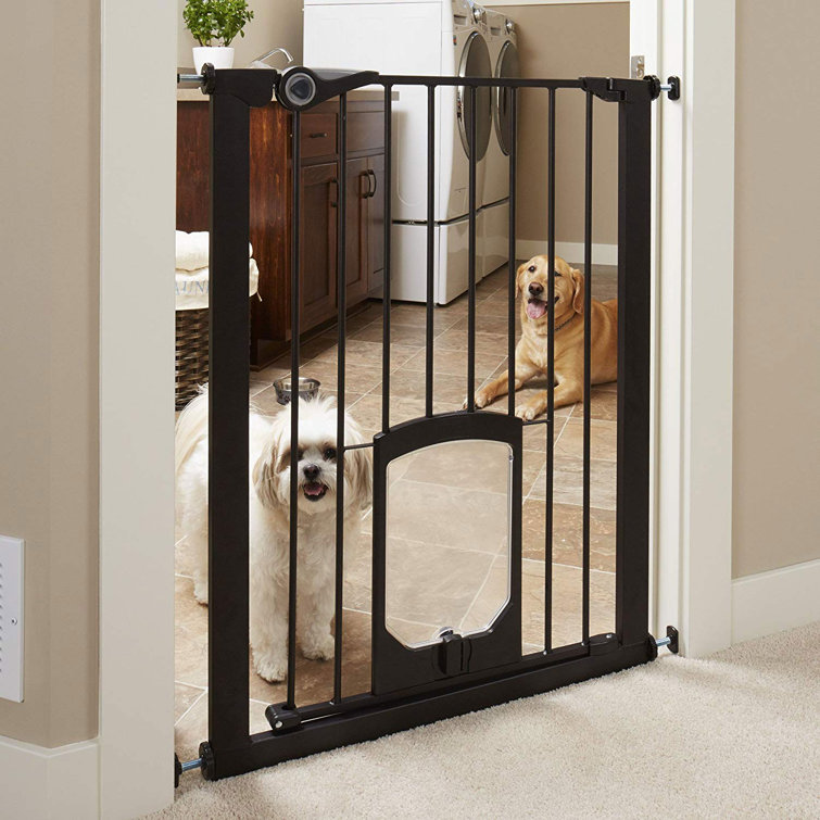 dog gates wayfair