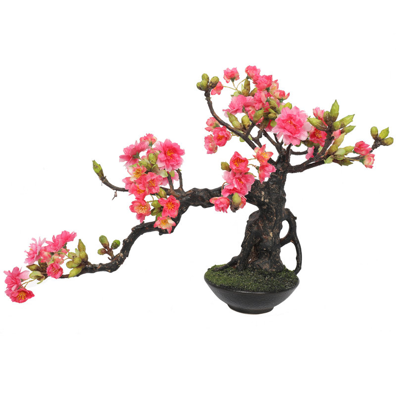 Bloomsbury Market 9 Artificial Flowering Cherry Blossom Bonsai Tree In Pot Reviews Wayfair