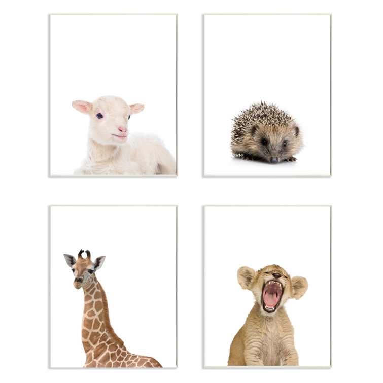 Harriet Bee Pacer Baby Animal Studio Portrait 4 Piece Set Framed Art Reviews Wayfair