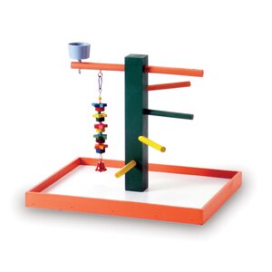 Buy Pet Products Big Steps Playground!