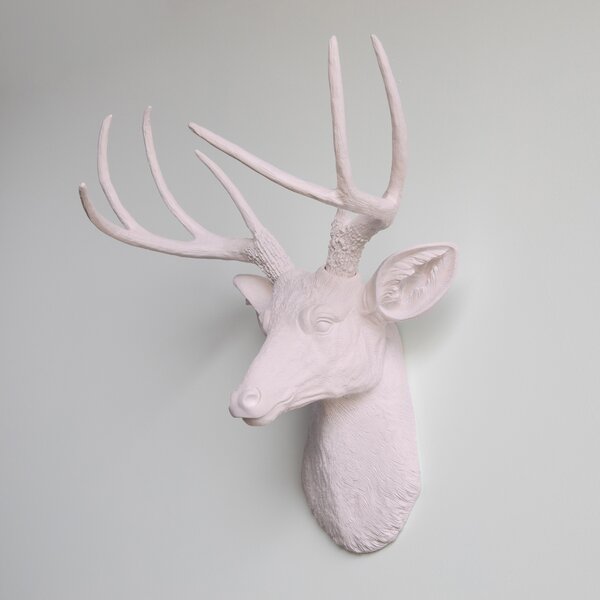 Deer Antler's Sand Dollar Ornament