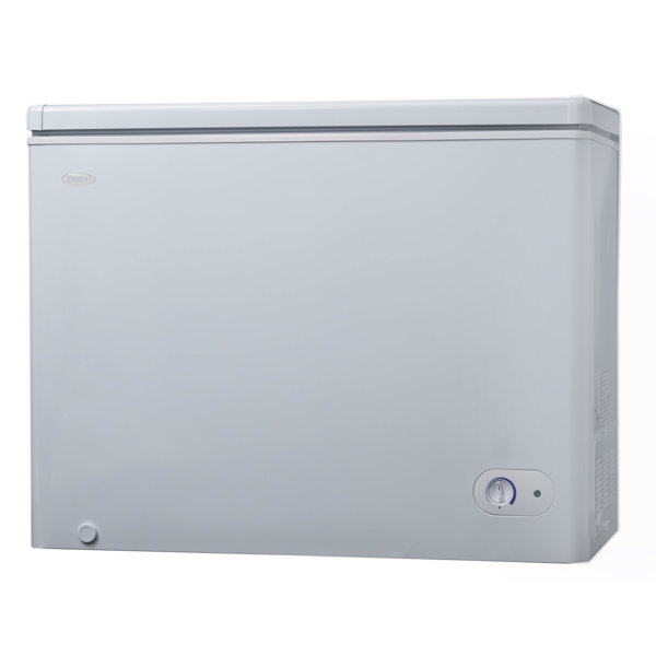 chest freezer with security lock