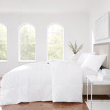 Black Feather Comforter Wayfair