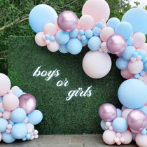Baby Shower Party Decorations Wayfair