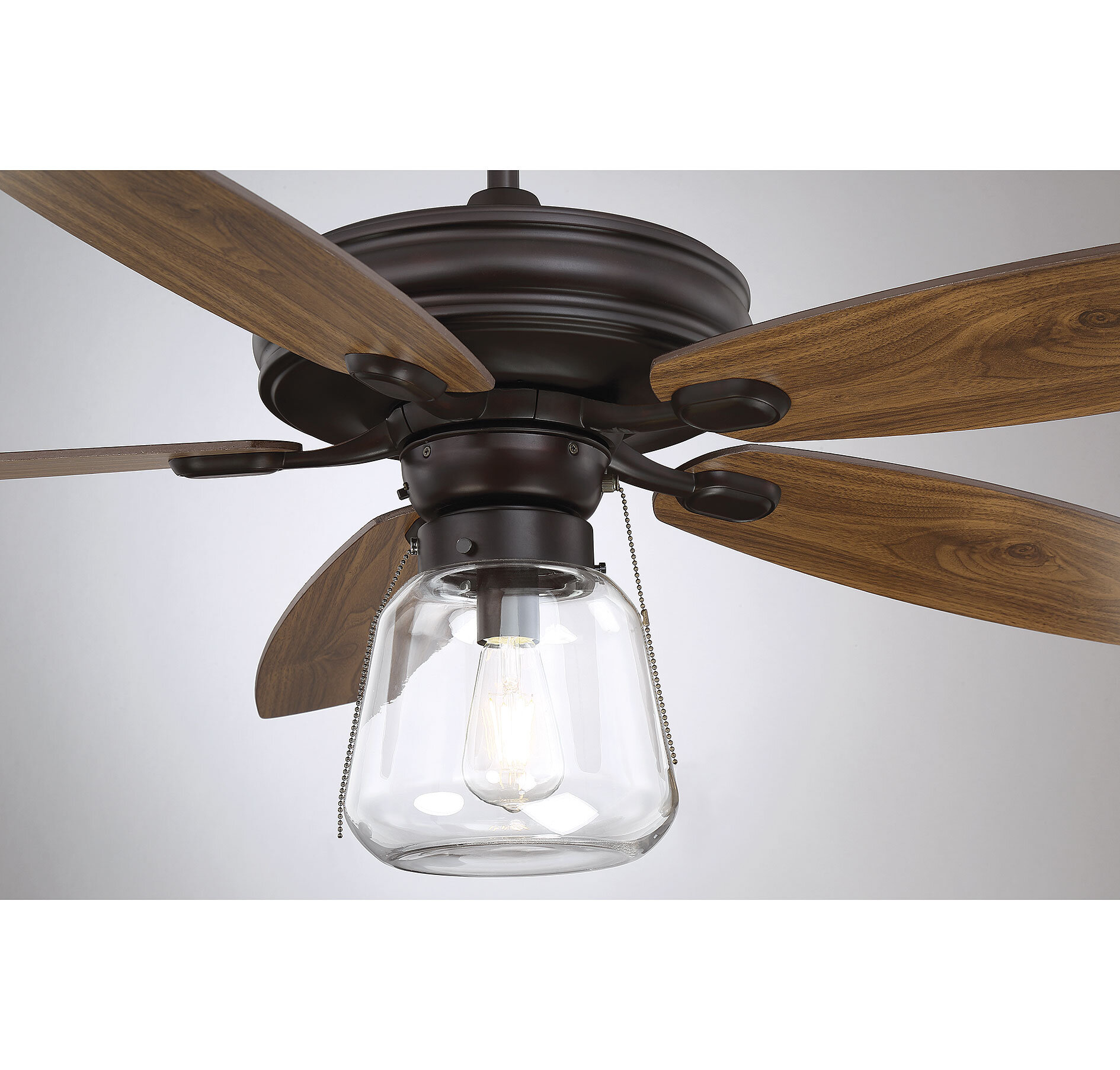 ceiling fan with globe