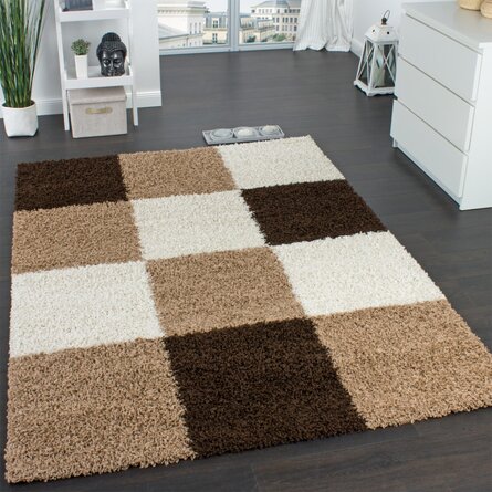 17 Stories Shag Brown Beige Cream Rug 