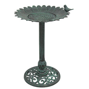 Sunflower Sunflower Birdbath