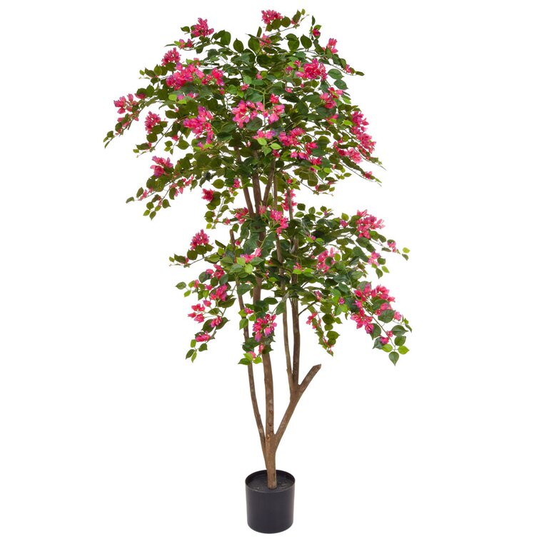 Bloomsbury Market Artificial Bougainvillea Flowering Tree | Wayfair.co.uk