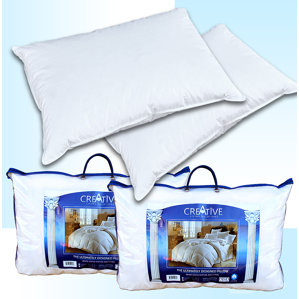 Creative Living Solutions 2 Bed Feather and Down Pillows (Set of 2) by DSD Group