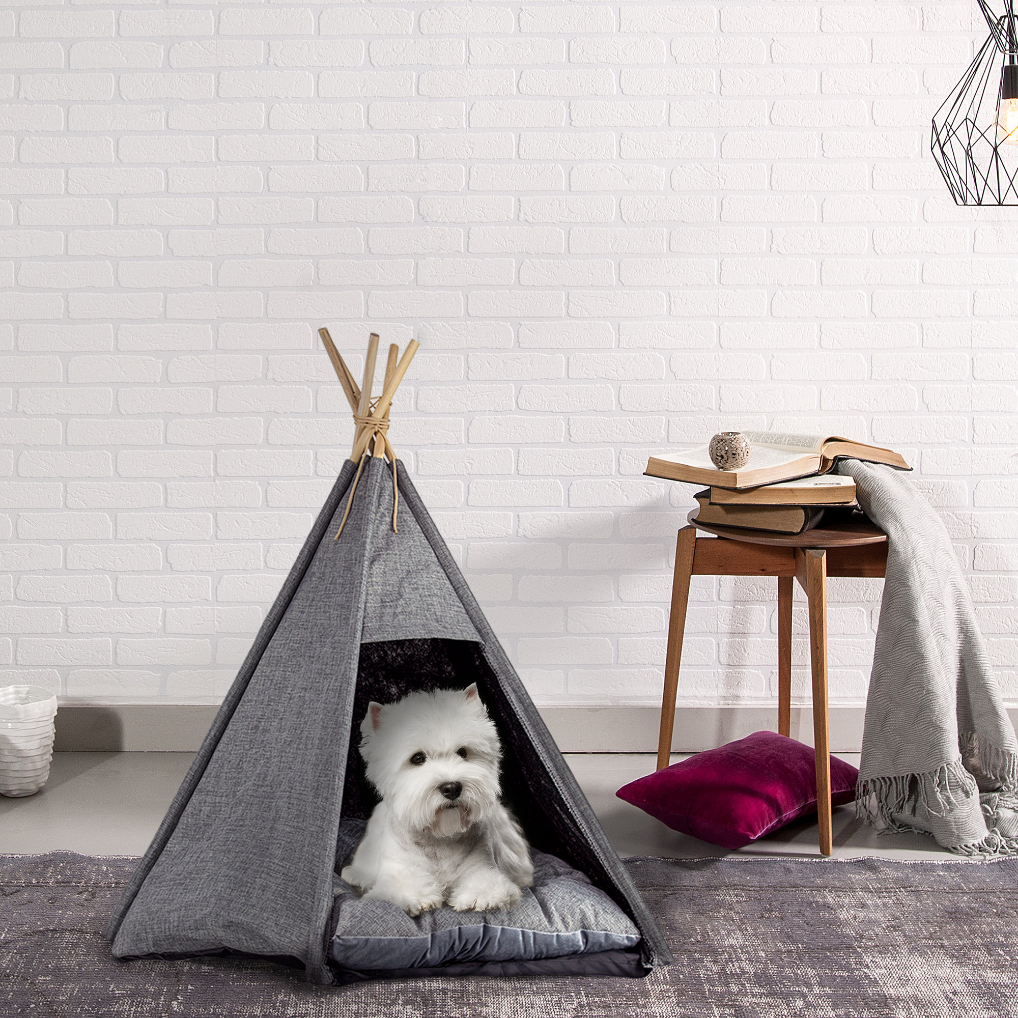 dog tipi tent