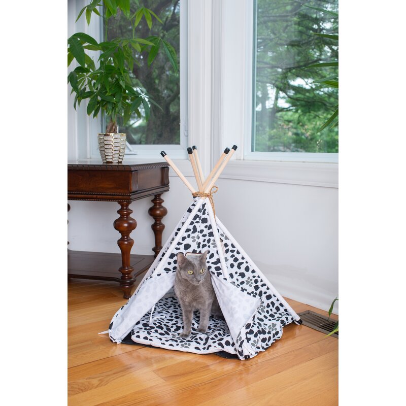 teepee cat