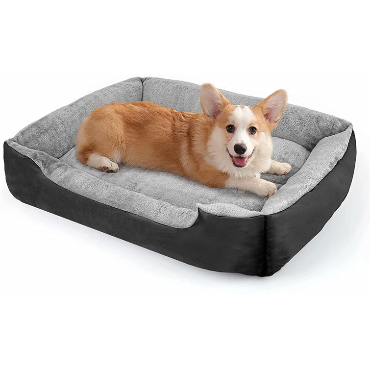 large black dog bed
