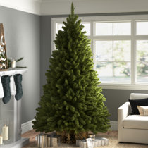 Free Christmas Tree Topeka Kansas 2022 Wayfair | Christmas Trees On Sale You'll Love In 2022