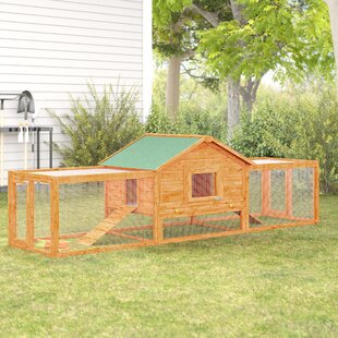 Chicken Coops That Work 5 Brilliant Ways Abundant Permaculture