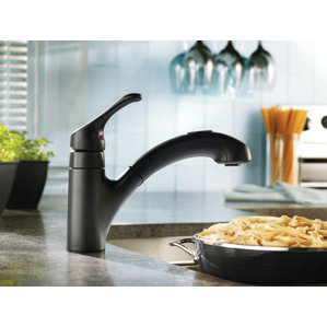 Moen Renzo Single Handle Kitchen Faucet