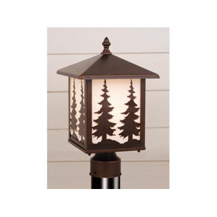 Best Josefina Tree Outdoor 1-Light Lantern Head By Loon Peak Outdoor Lighting Josefina Tree Outdoor 1-Light Lantern Head By Loon Peak Outdoor Lighting