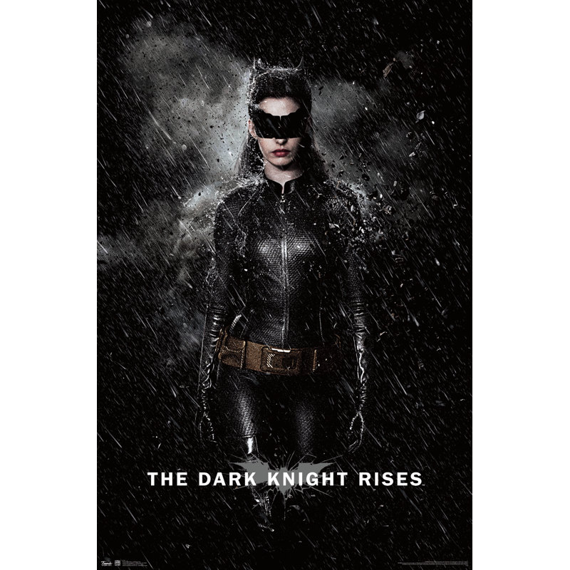 Trends International Dark Knight Rises Catwoman Rain Paper Print Wayfair