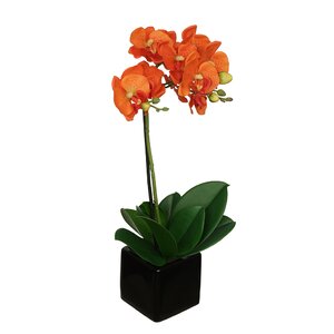 Artificial Baby Orchid Flowers in Pot