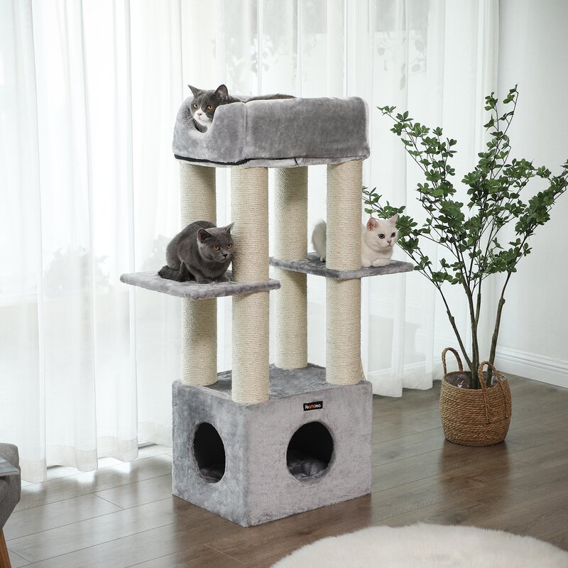 Grey Cat Tower Body Wisdom Psychotherapy