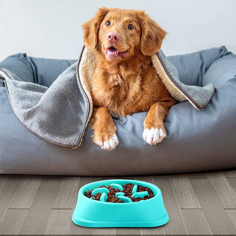 small dog slow feeder