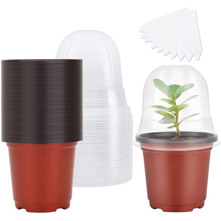 100 Pcs 6 Inch Plastic Nursery Pots with 100 Pcs Planting Tags and 2 Pcs Mini Garden Tools Seed Starting Pots for Succulents Cuttings Black Transplanting Seedlings 