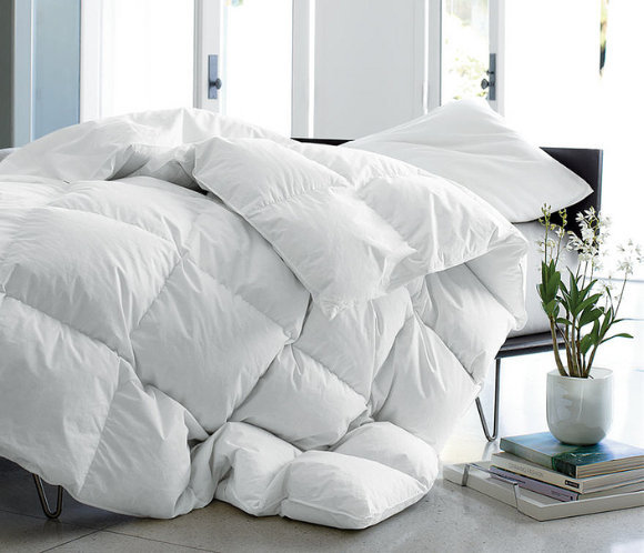 Arsuite Winter Goose Down Comforter Wayfair